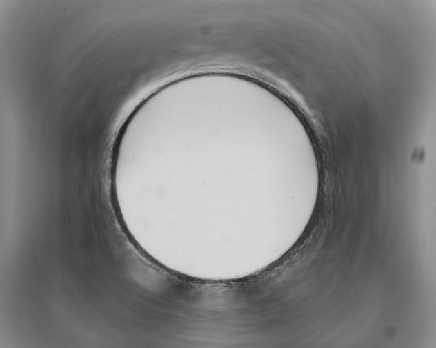 X0000096681512200802261504