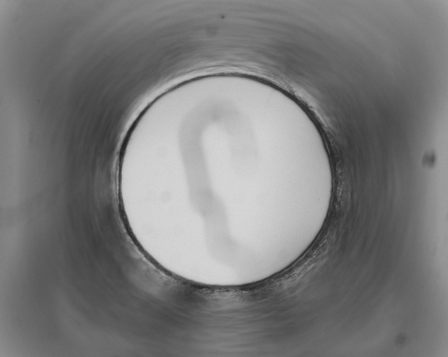 X0000096681516200802261504