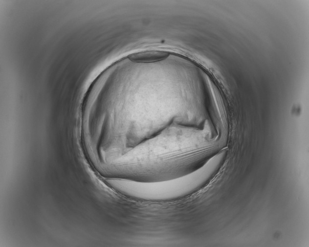 X0000096681520200802261504