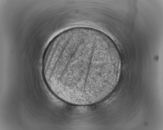 X0000096681523200802261504