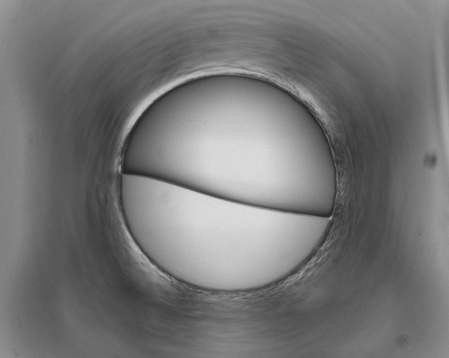 X0000096681524200802261504