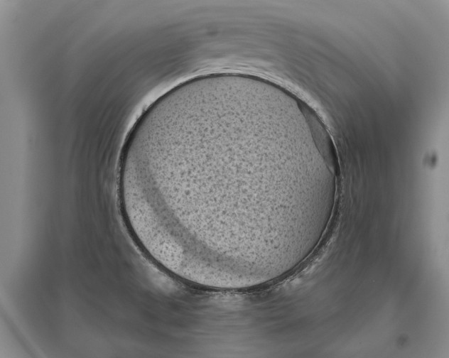 X0000096681525200802261504