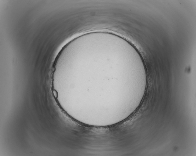 X0000096681526200802261504