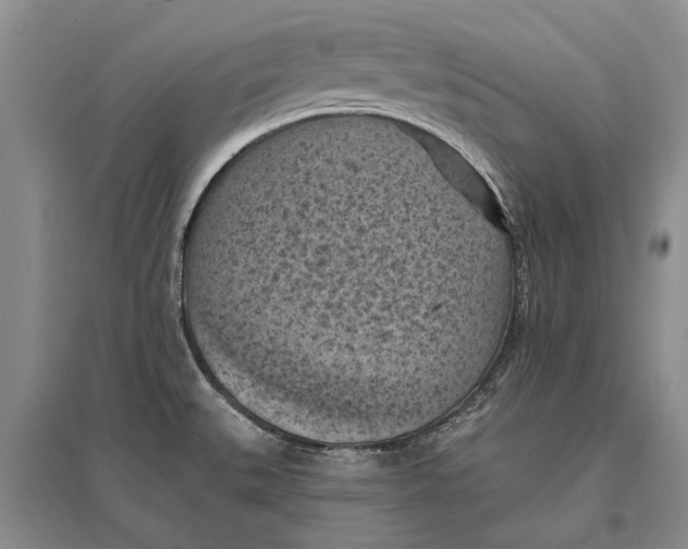 X0000096681527200802261504