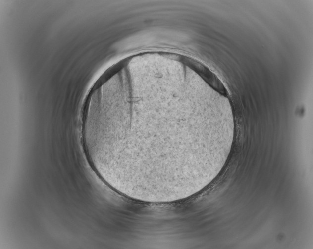 X0000096681531200802261504