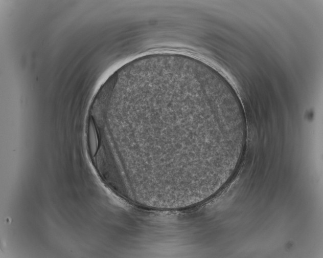 X0000096681533200802261504