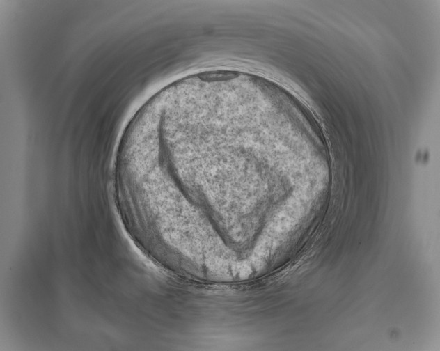 X0000096681536200802261504