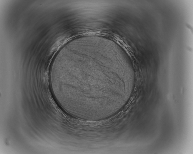 X0000096680002200803041250
