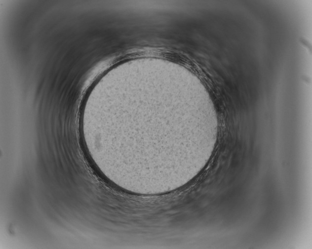 X0000096680006200803041250