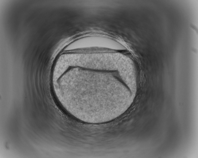 X0000096680007200803041250