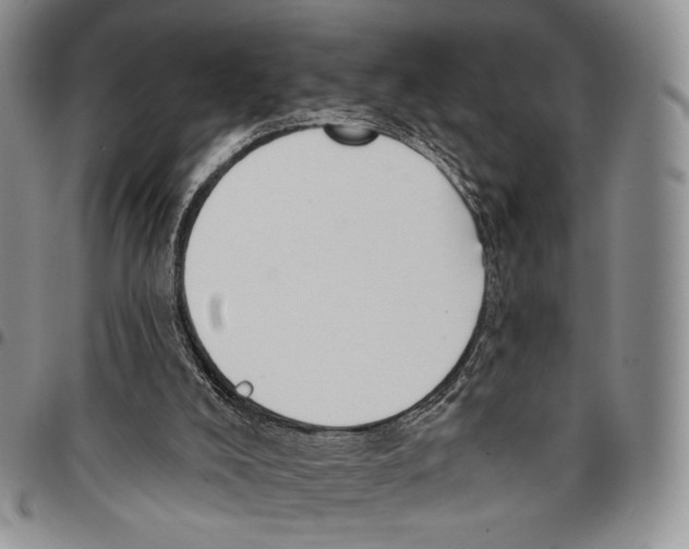 X0000096680008200803041250