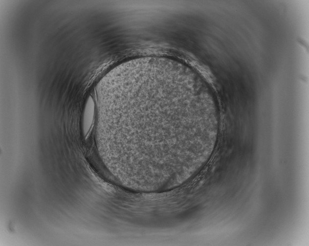X0000096680009200803041250