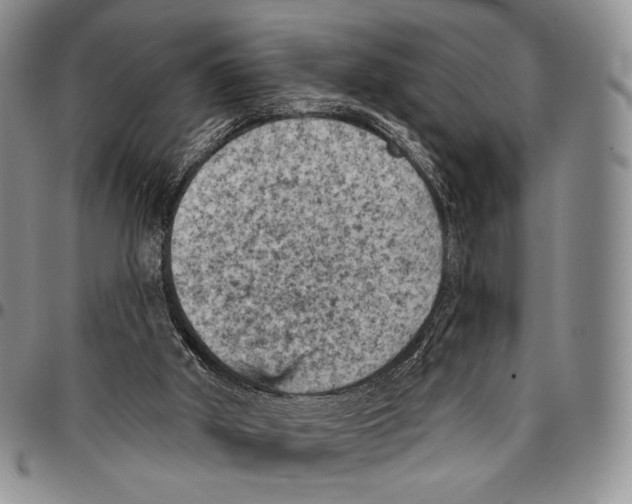X0000096680010200803041250