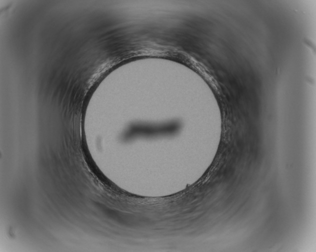 X0000096680011200803041250