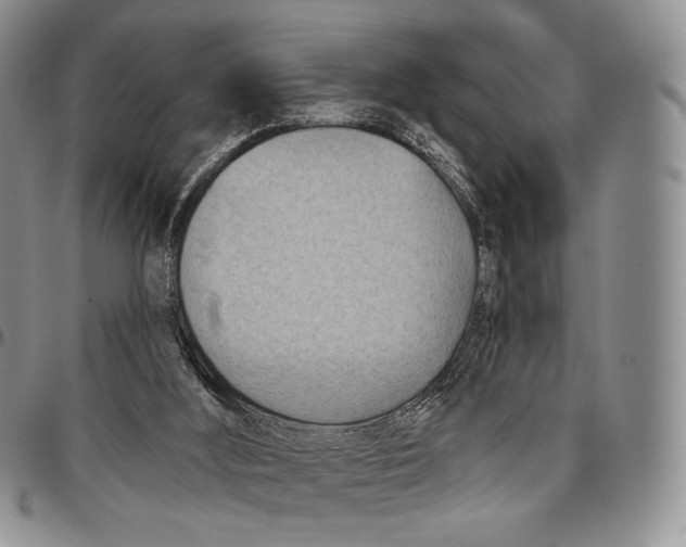 X0000096680012200803041250