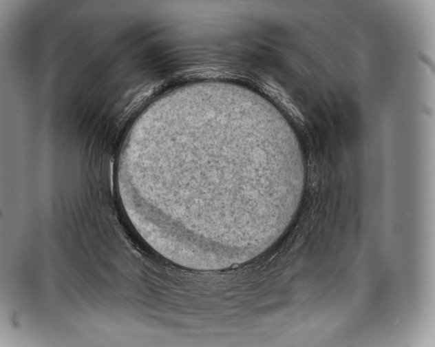 X0000096680014200803041250