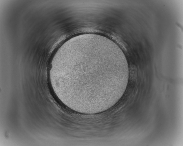 X0000096680015200803041250