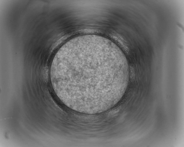 X0000096680016200803041250