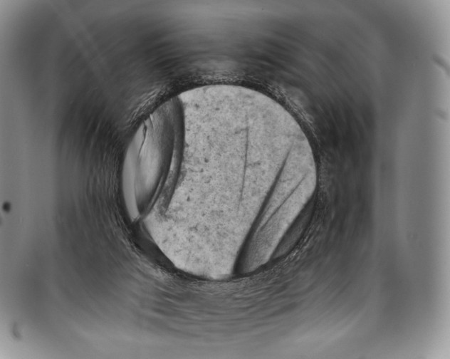 X0000096680017200803041250