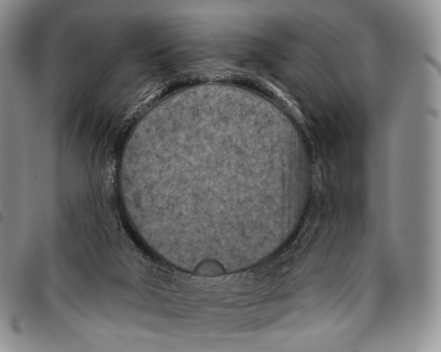 X0000096680018200803041250
