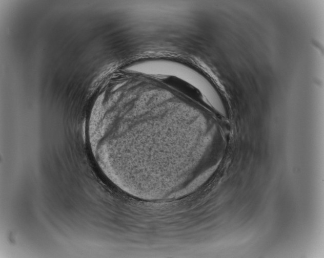 X0000096680019200803041250