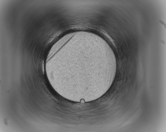 X0000096680020200803041250
