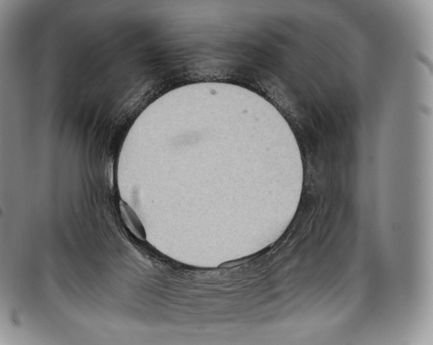 X0000096680021200803041250