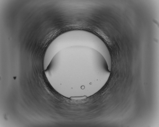 X0000096680022200803041250