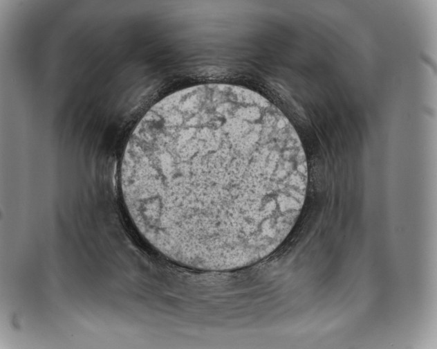 X0000096680024200803041250