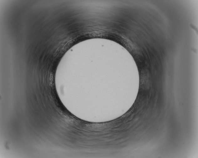 X0000096680025200803041250