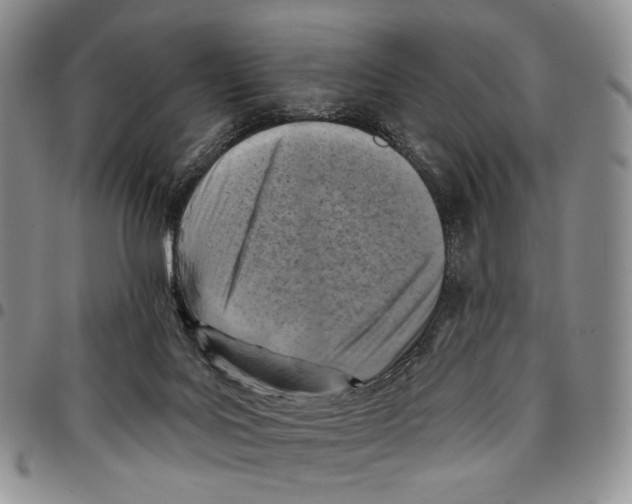 X0000096680027200803041250
