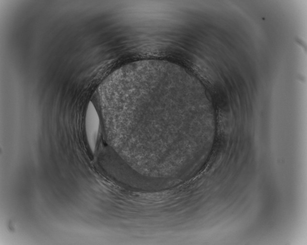 X0000096680029200803041250
