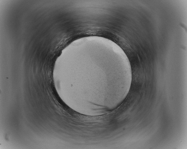 X0000096680031200803041250