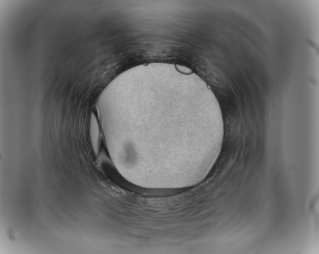 X0000096680033200803041250