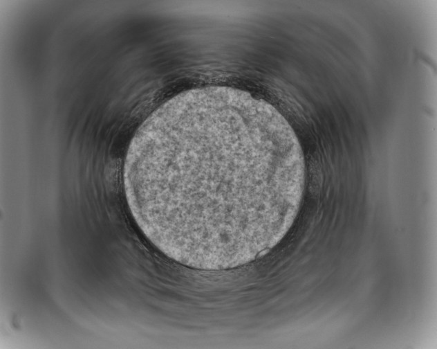 X0000096680034200803041249