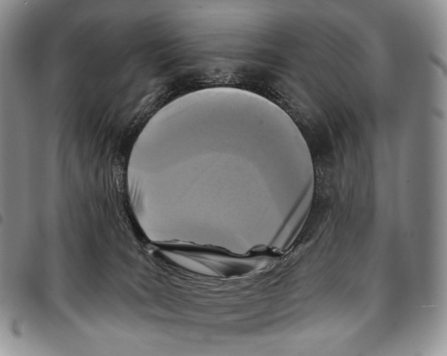 X0000096680035200803041249