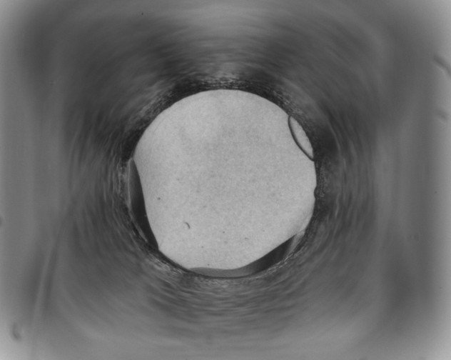 X0000096680037200803041249