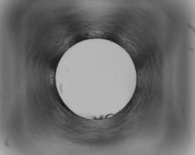 X0000096680038200803041249