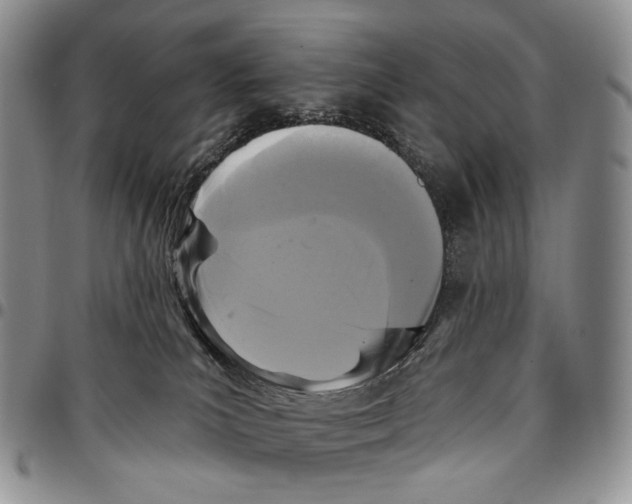 X0000096680039200803041249