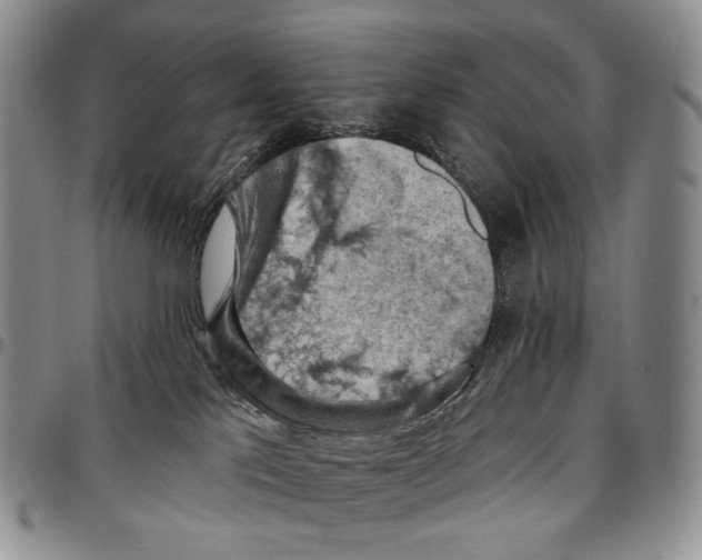 X0000096680041200803041249