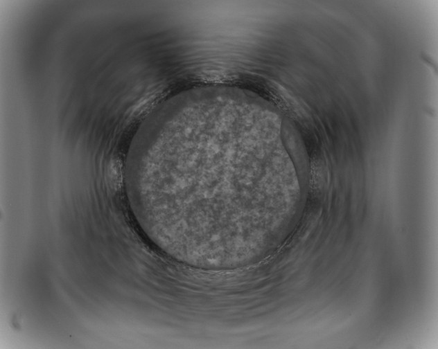 X0000096680043200803041249