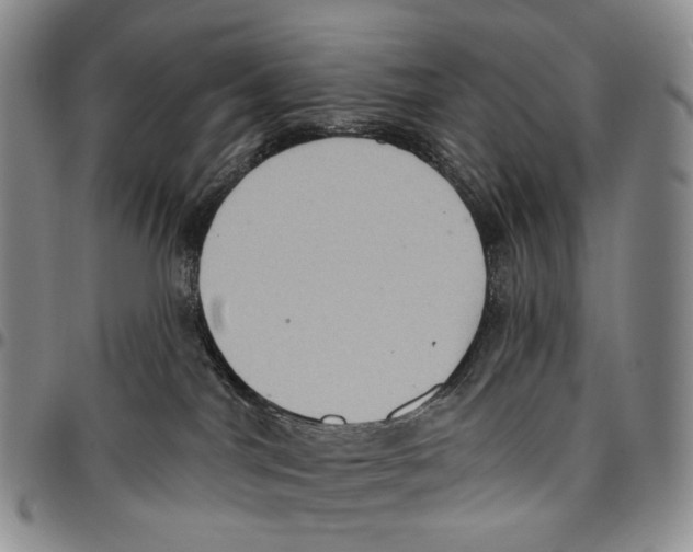 X0000096680044200803041249