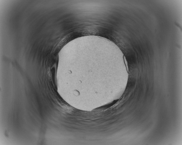 X0000096680045200803041249