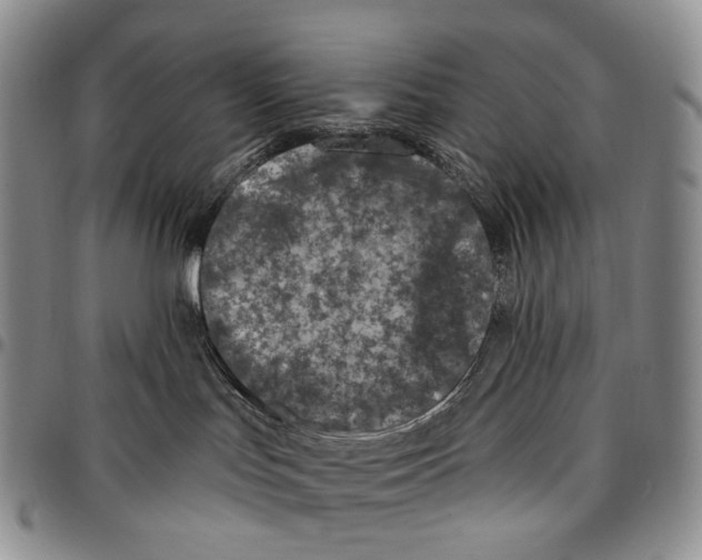 X0000096680047200803041249