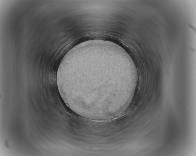 X0000096680048200803041249