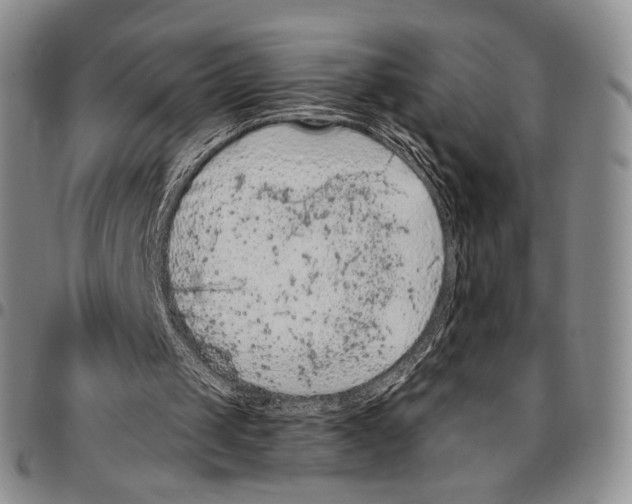 X0000096680049200803041249