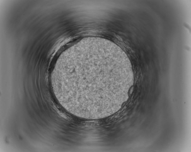 X0000096680050200803041249