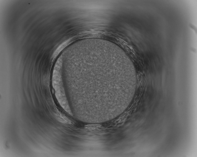 X0000096680051200803041249