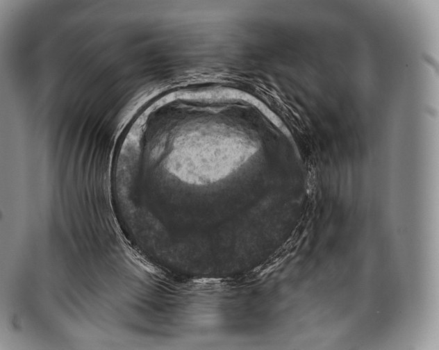 X0000096680052200803041249