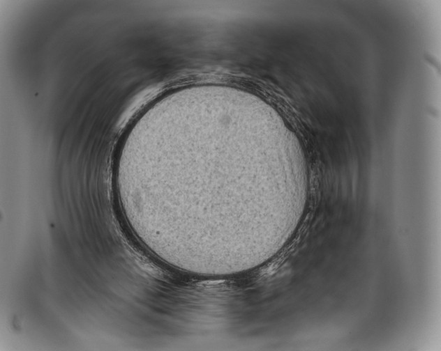 X0000096680054200803041249
